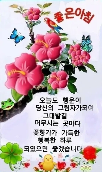 아침 인사 문자 날씨 변화에 맞춘 안부 문장 하루를 여는 표현_4