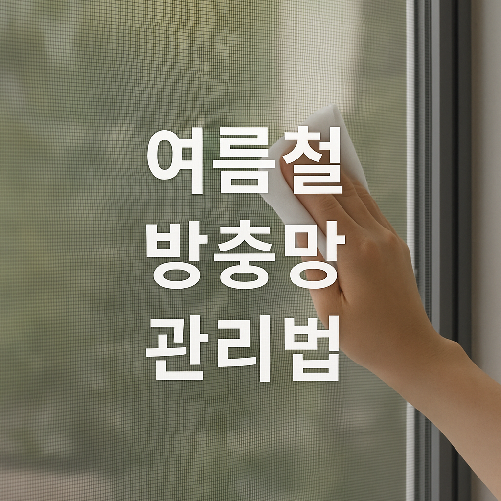 여름철 방충망 관리법