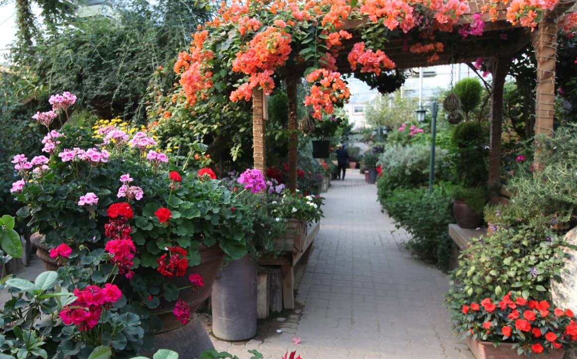 허브 식물박물관