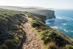 건강생활실천지원금 신청방법