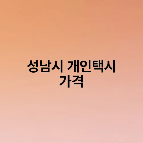 성남시 개인택시 가격