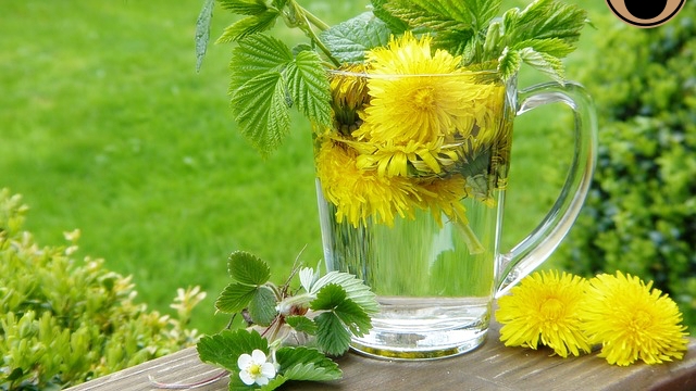 당뇨에 좋은 식이섬유