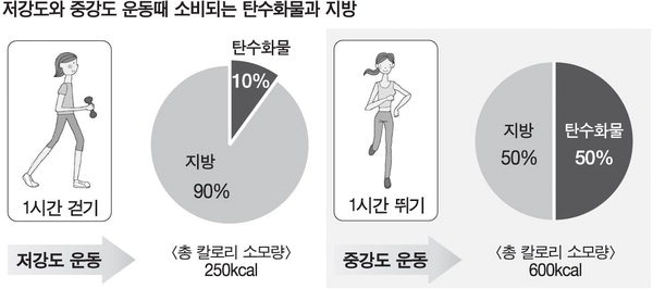 당뇨 환자는 언제 운동하는 것이 가장 효과가 좋을까?