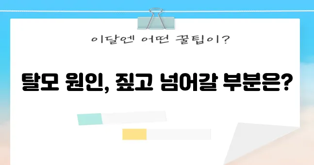 머리카락 빠지는 원인, 제대로 파헤쳐 보자!