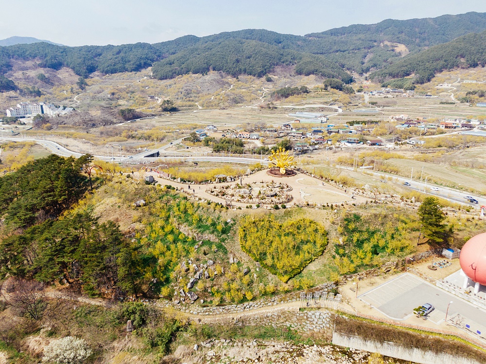 구례산수유축제