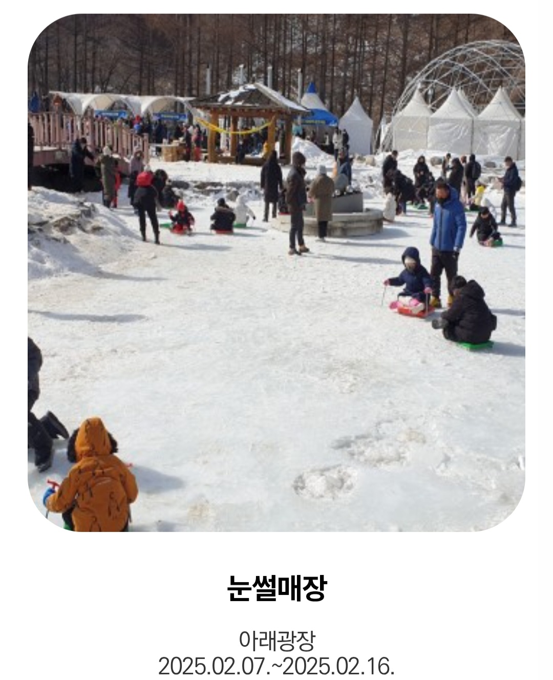태백 눈축제 5