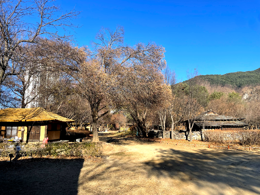 추운 겨울 정선 2박3일 여행 가볼만한 곳 04 - 정선 아라리촌
