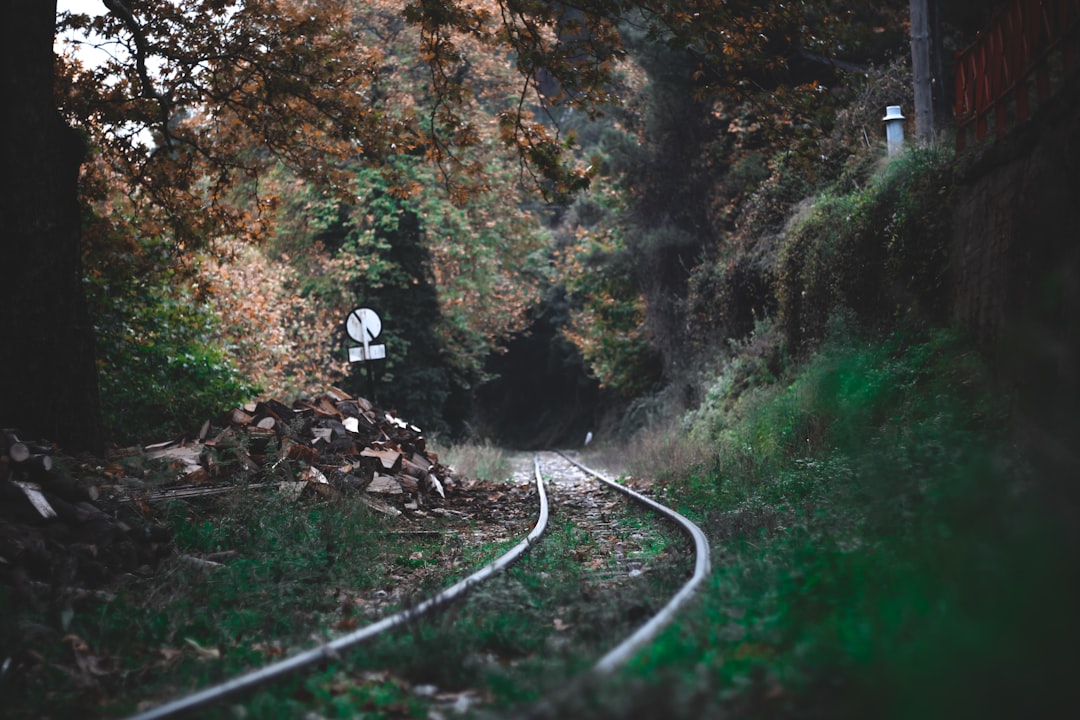 Rail