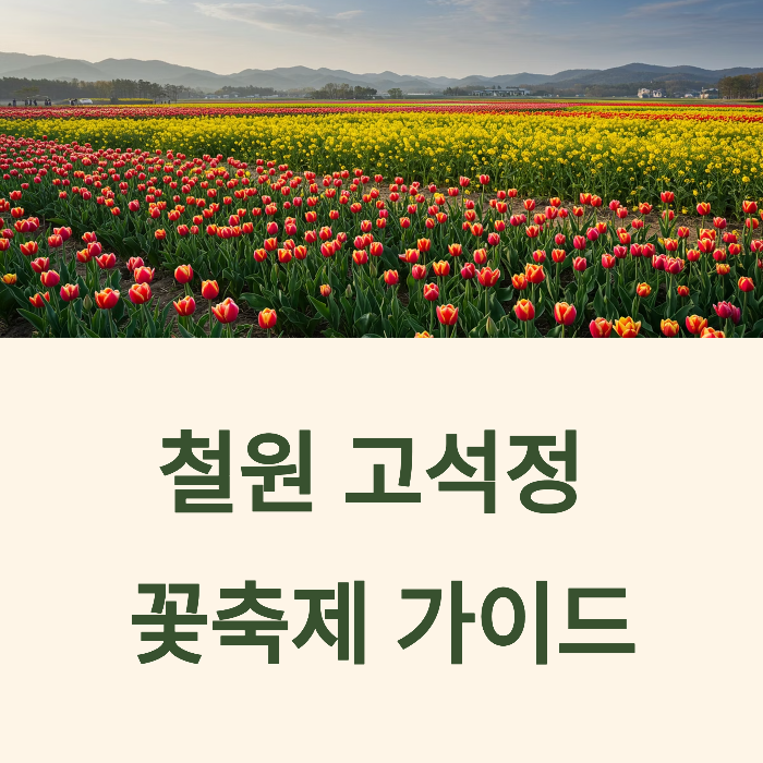 철원 고석정 꽃축제
