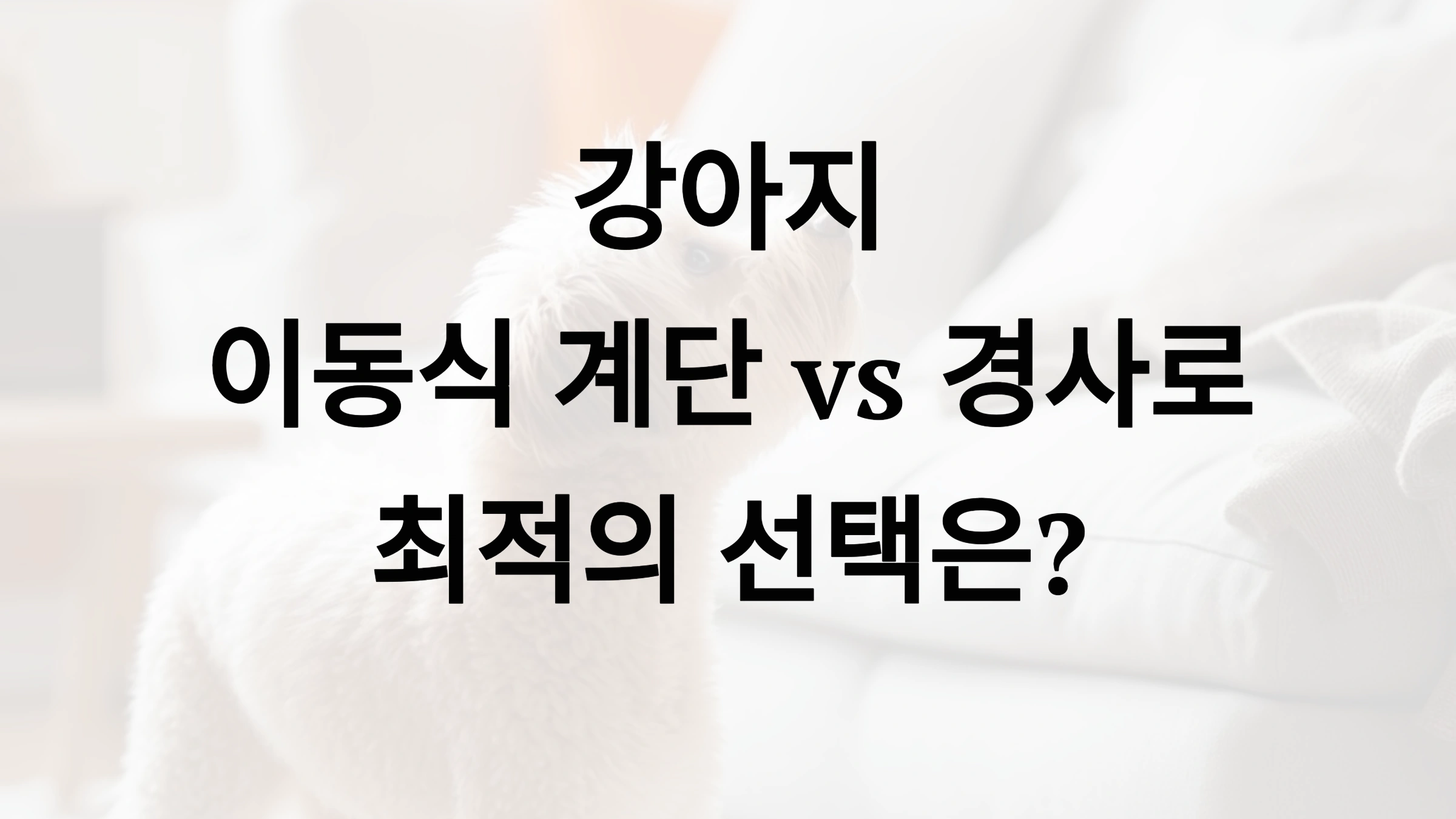 🐶 강아지 이동식 계단 vs 경사로, 어떤 게 좋을까?