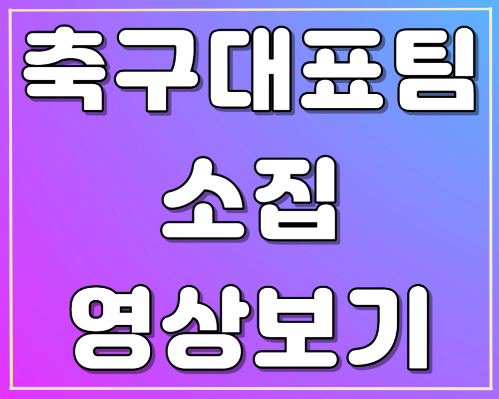 축구 10월 A매치