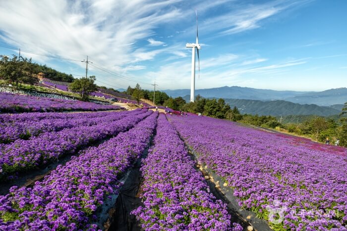 거창 가볼만한곳 베스트 10