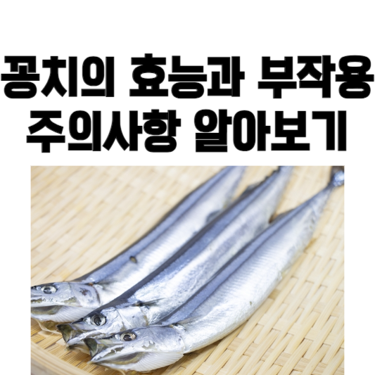 꽁치의 효능과 부작용, 주의 사항