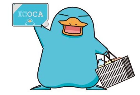 이코카 사용방법