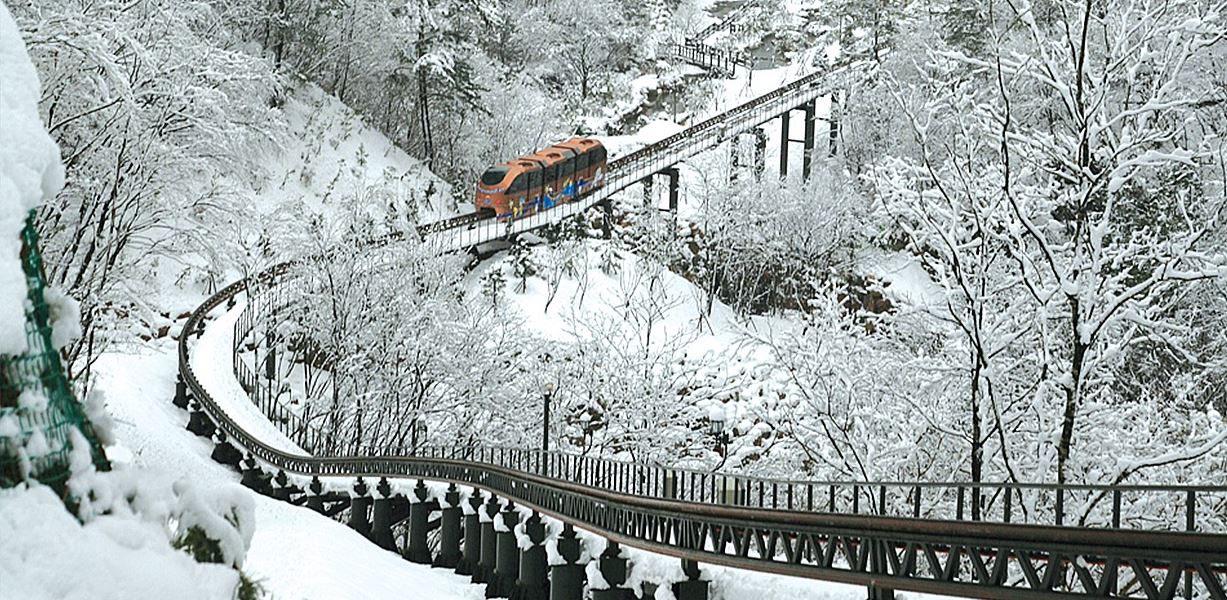 삼척 대금굴 예약 방법