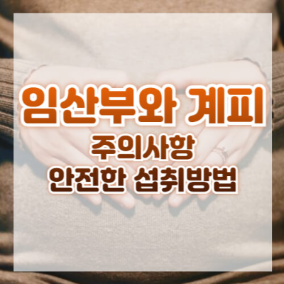 임산부 계피 섭취
임산부 계피 부작용
임신 중 계피차
계피 적정량
실론 계피와 중국 계피
임산부 건강 상담
계피 대체재
임신 중 허브티
감기 완화 계피
소화불량 계피 효과