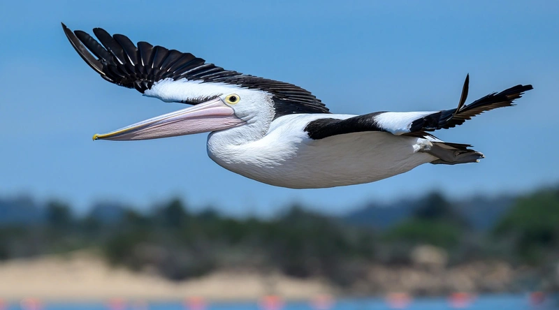 불이 나는 꿈해몽: 재물운과 변화를 암시하는 꿈의 비밀