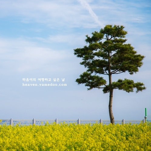 서산 가볼만한곳 베스트10