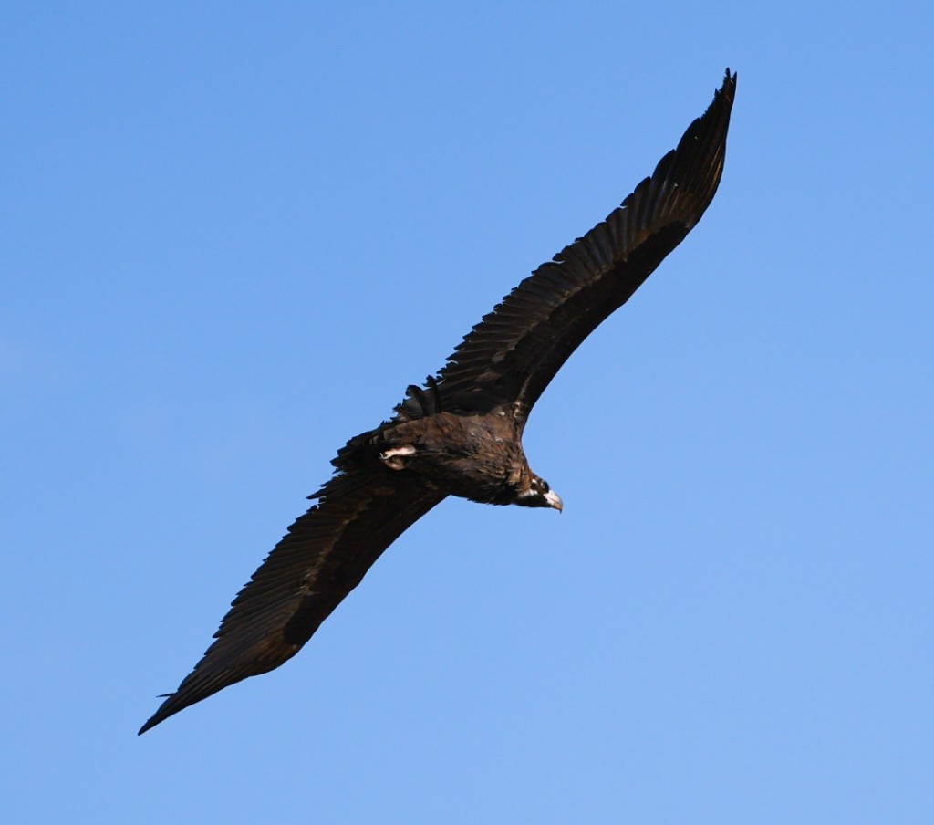 여행가는 달 여행지 추천