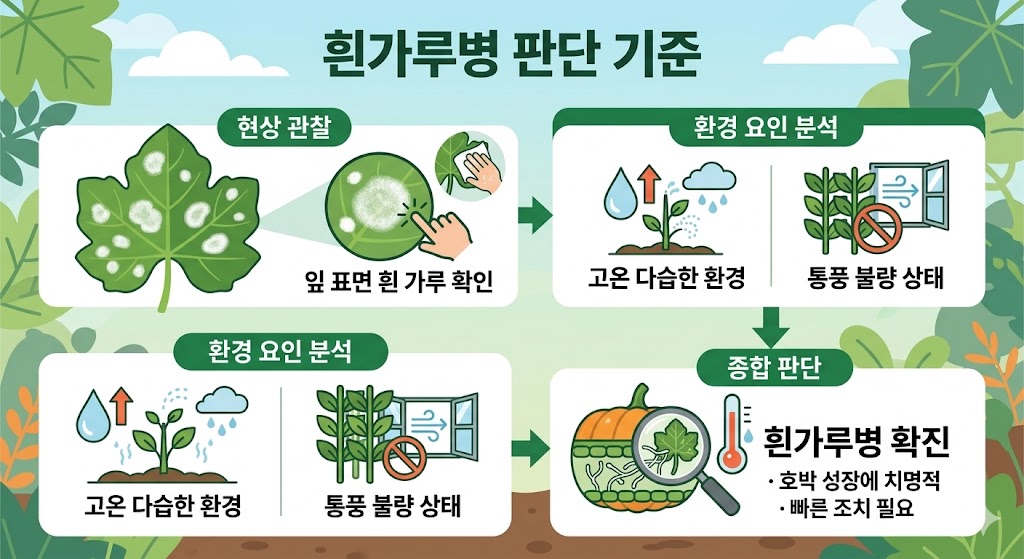 흰가루병 판단 기준을 나타낸 인포그래픽