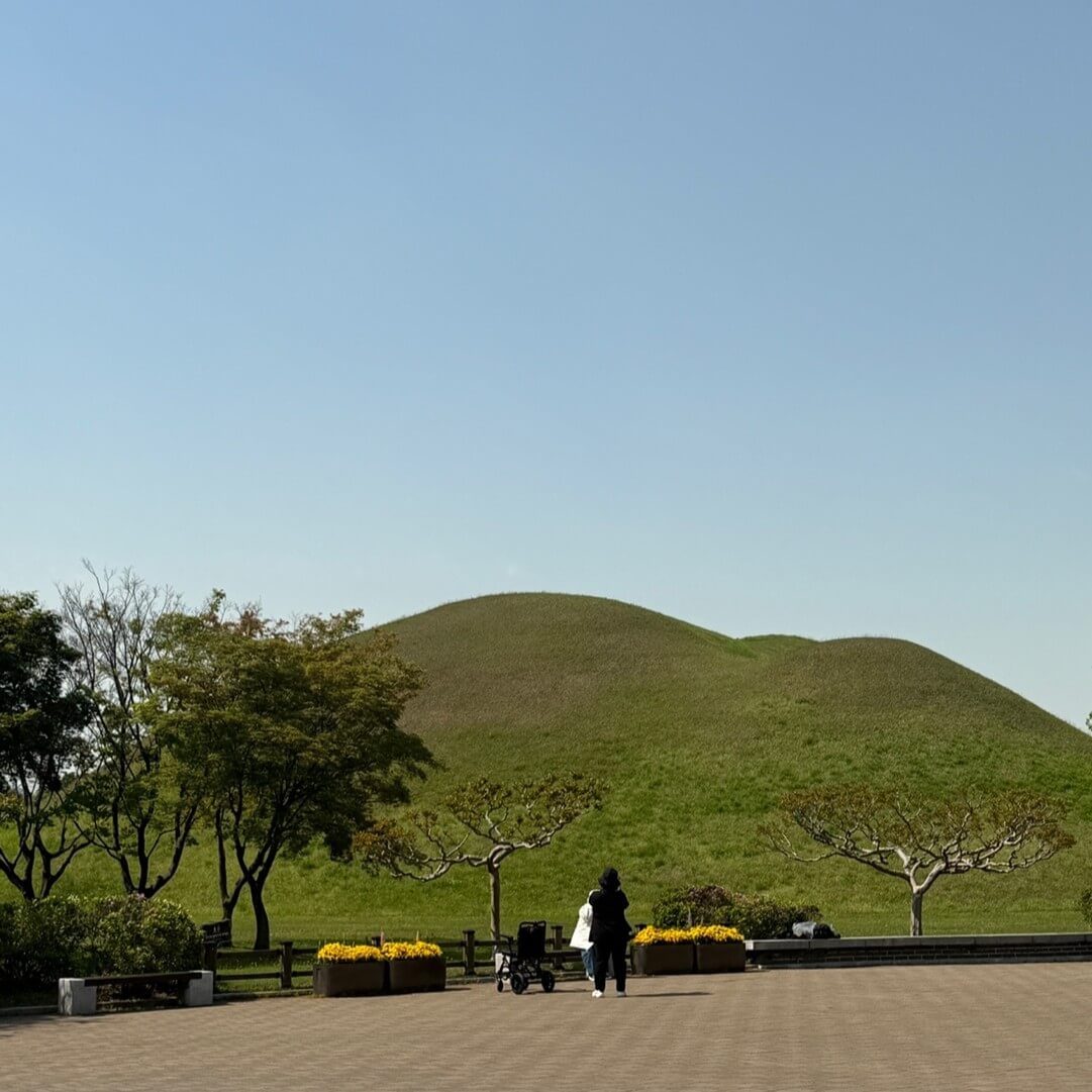 아이랑 걸어본 경주 대릉원 왕릉 산책길