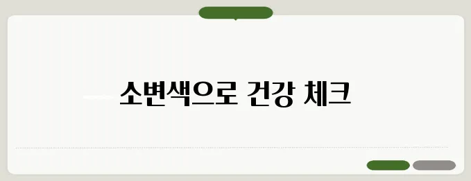 소변 색깔로 보는 건강 이상 신호 구별법