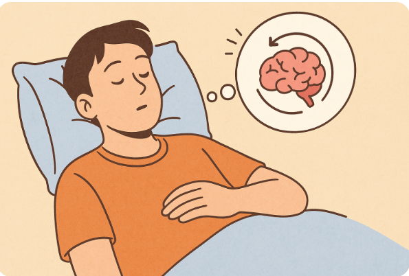 짧은 낮잠으로 뇌가 회복되는 과정을 표현한 이미지