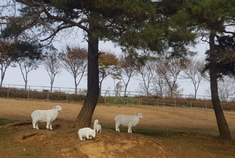 칠곡 가볼만한곳