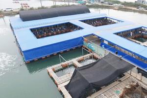 바다좌대낚시터