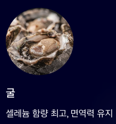 셀레늄 많은 음식 굴