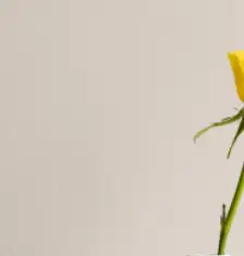 인테리어 리모델링 견적서 받는 방법