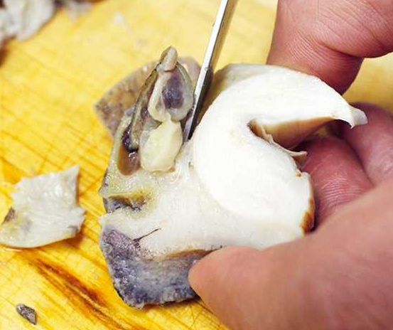 3월에 먹으면 좋은 제철 음식(봄철 음식) - 소라편 (효능, 소라가 들어가는 음식)