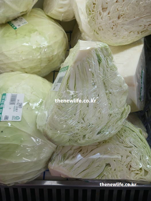 신장에 좋은 음식 채소 양배추 실사진