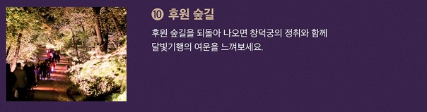 후원 숲길