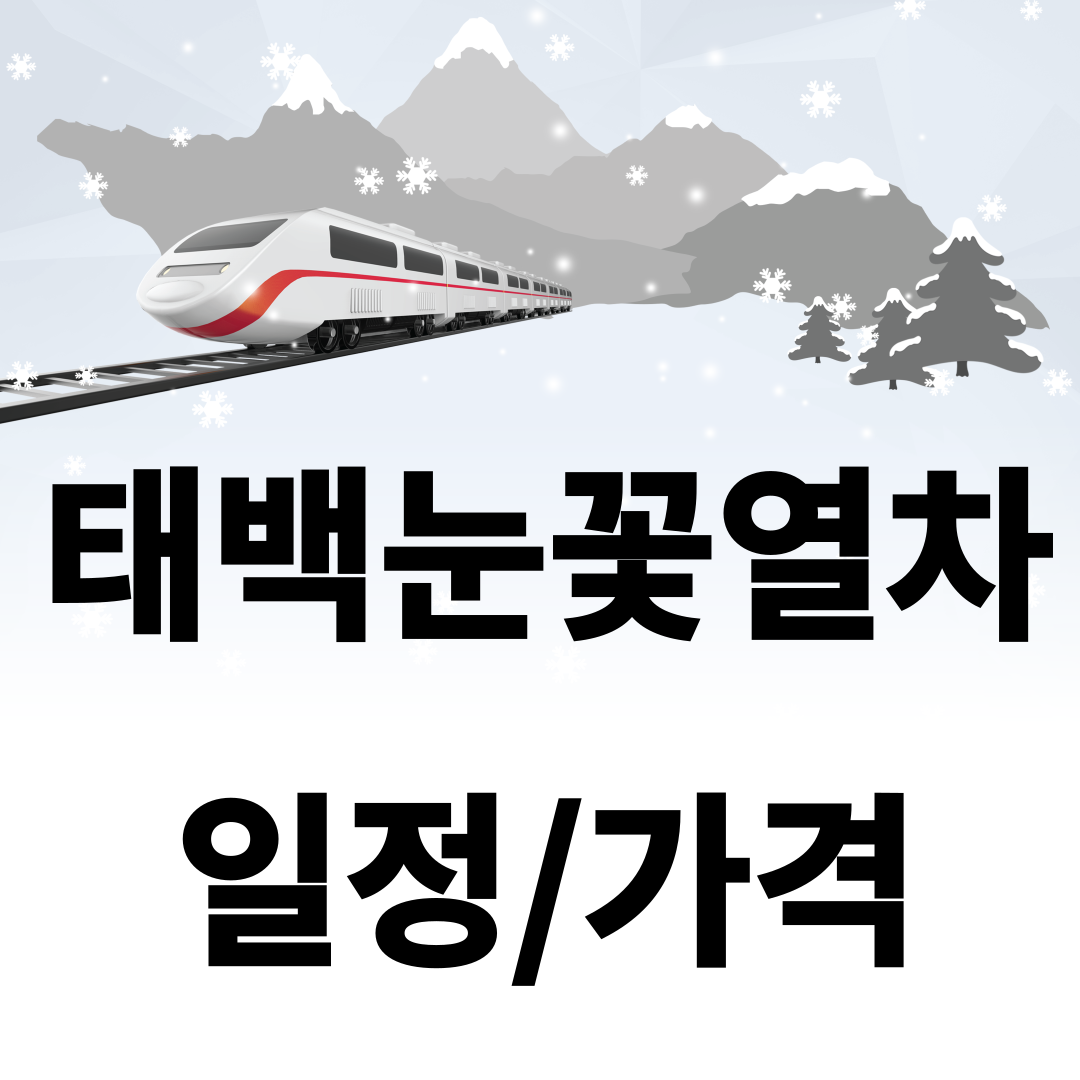 태백눈꽃열차