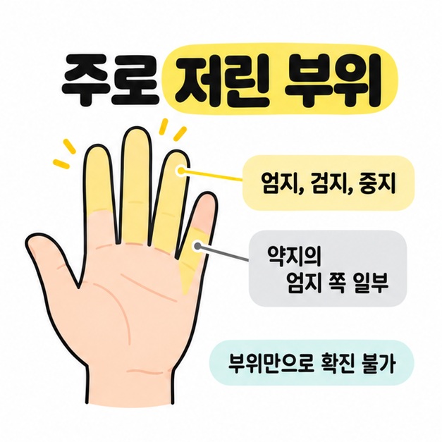 손가락에 노란색 표시가 있는 손 그림 옆에 엄지, 검지, 중지와 약지의 엄지 쪽 일부라는 문구 및 부위만으로 확진 불가 안내를 배치한 그림