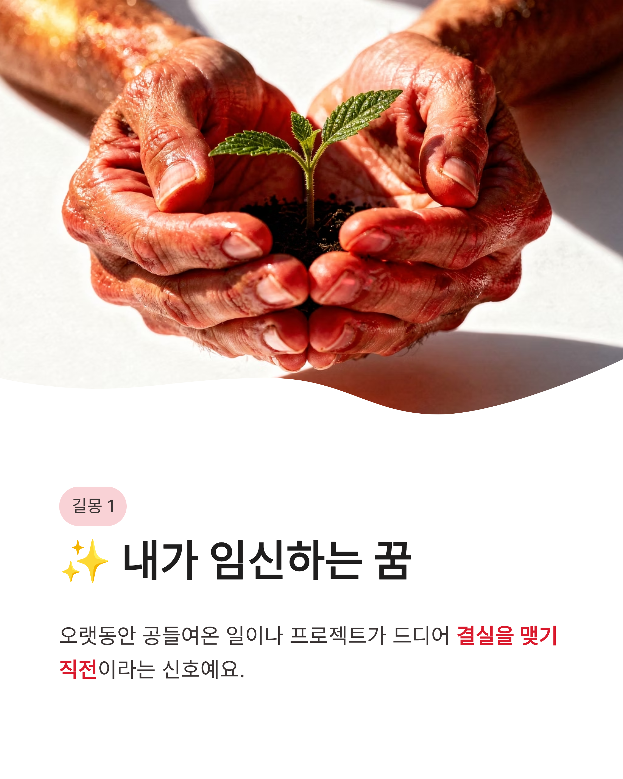 임신 꿈 해몽: 내가 임신하는 꿈부터 친구가 임신한 꿈, 태동 느끼는 꿈까지! 당신에게 찾아올 새로운 기회는?