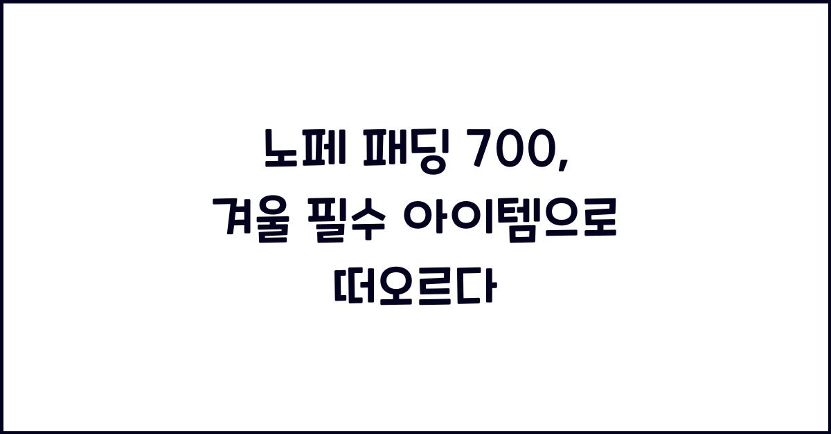 노페 패딩 700