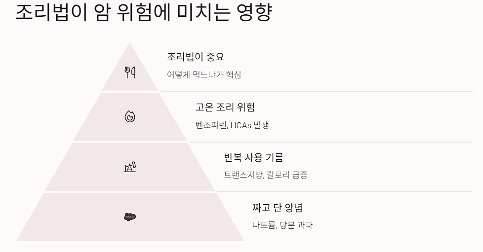 조리법이 암 위험에 미치는 영향