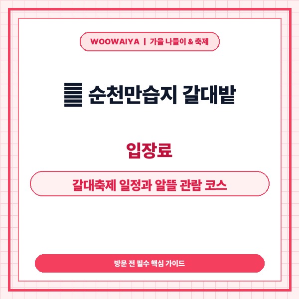🌾 순천만습지 갈대밭, 입장료, 갈대축제 일정과 알뜰 관람 코스 총정리