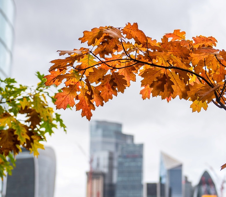폐경기 여성을 표현한 사진