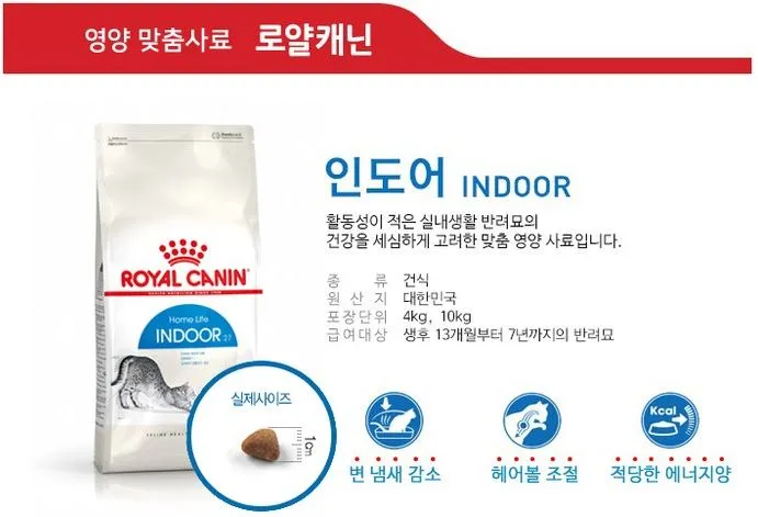 로얄캐닌-인도어-고양이-건식-사료