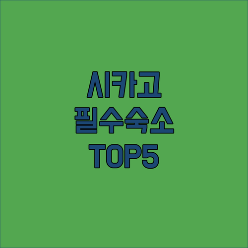 시카고 대학교 인근 하이드 파크와 맥..