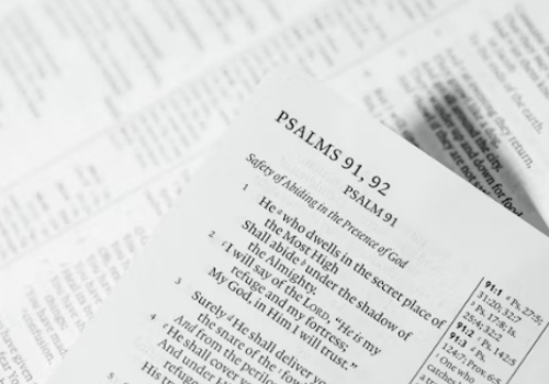 주민등록등본 인터넷 발급 PDF 저장