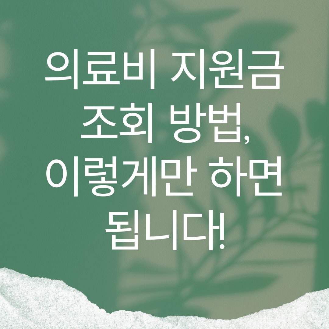 의료비 지원금 조회 방법