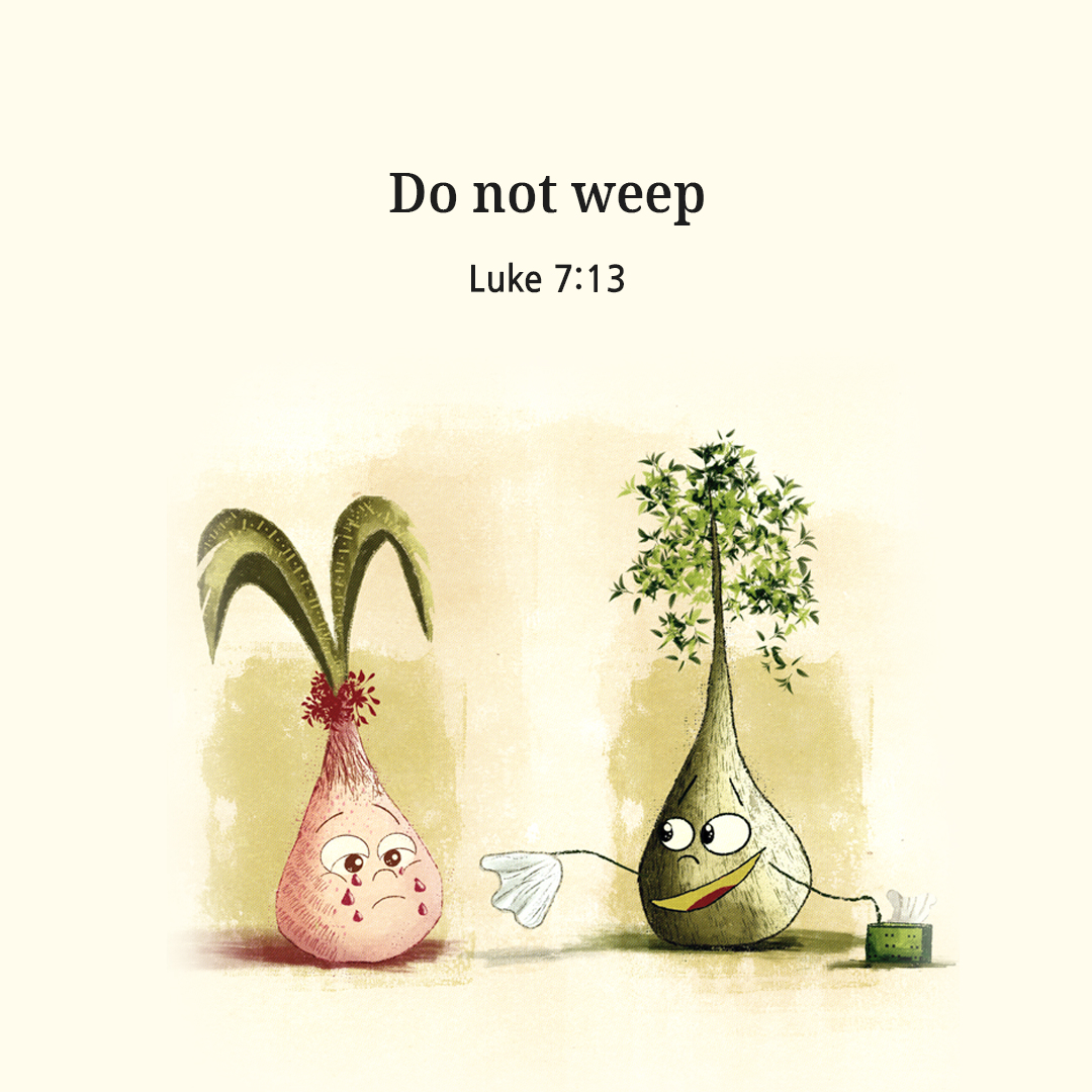 Do not weep. (Luke 7:13)