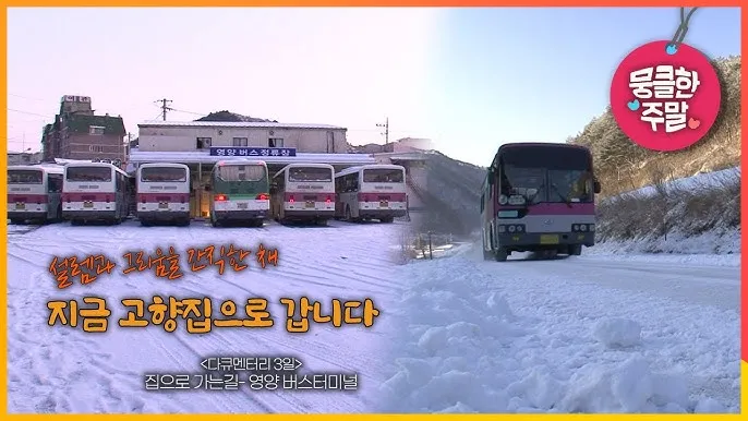 영양 시외버스터미널 시간표 예매 요금_1