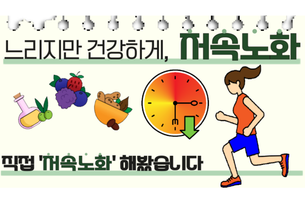 저속노화 1탄. 노화를 늦추는 생활 습관 7가지