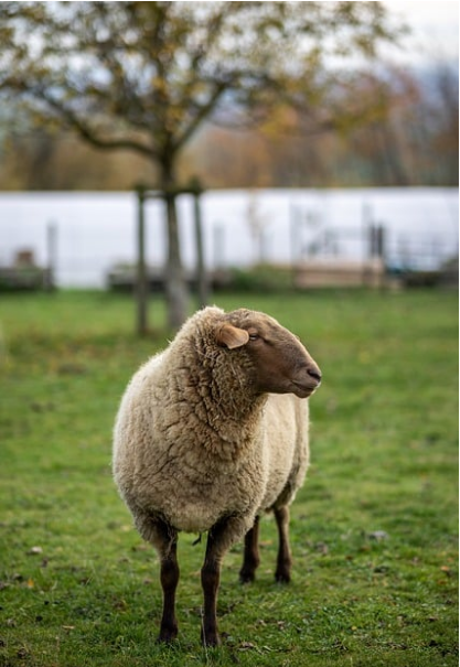 개인회생 신청자격 절차 총정리: 신청부터 인가까지 한 번에 알아보기