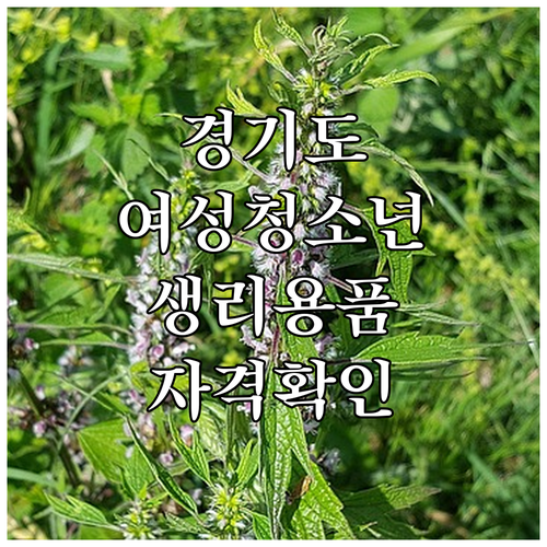 경기도 2025 여성청소년 생리용품 ..